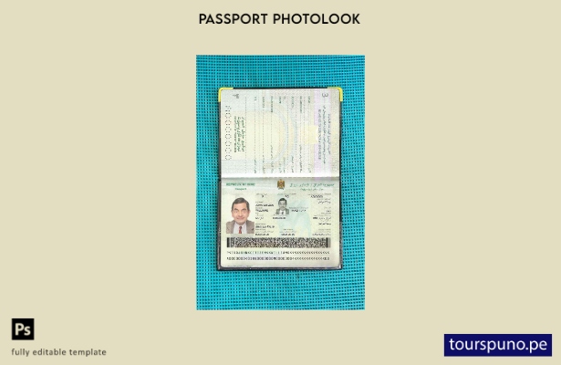 Plantilla de apariencia de foto de pasaporte de Irak lista para imprimir